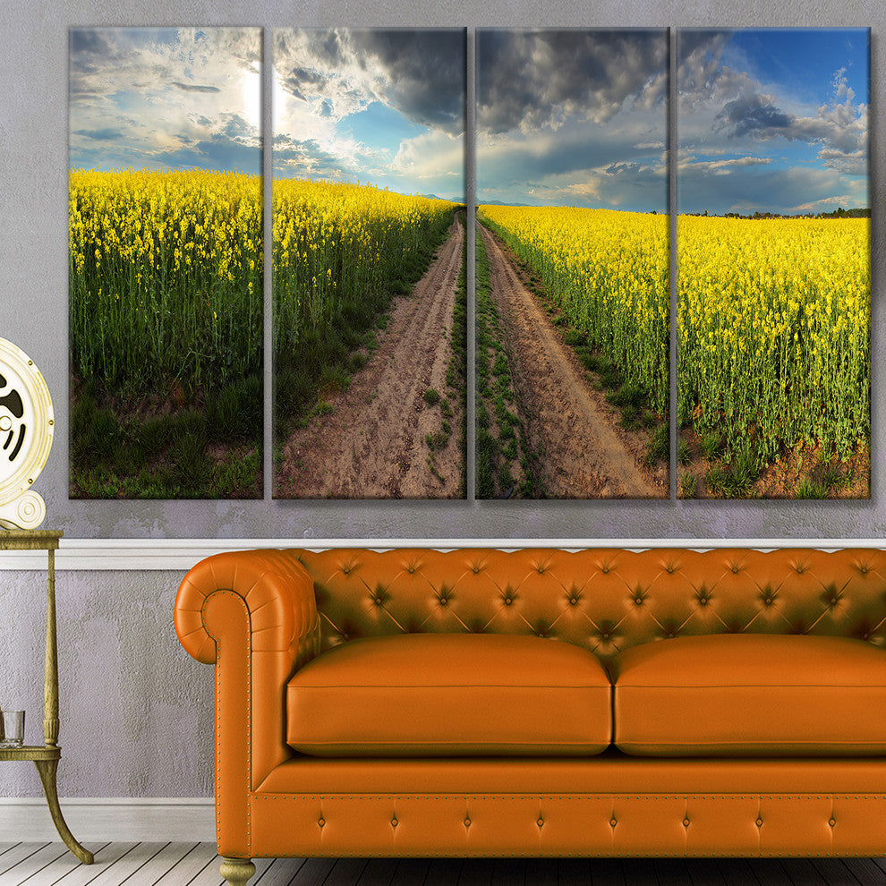 Sunset over Canola Panorama, Landscape Canvas Art Print, 48"x28", 4 Panels