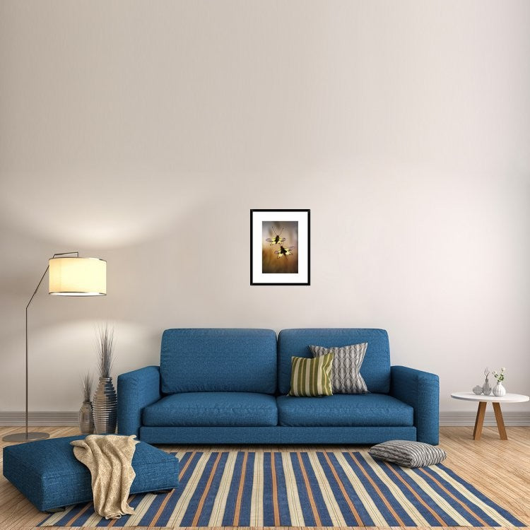 "Owlflies" Framed Digital Print by Jimmy Hoffman, 20"x26"