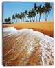 Beautiful Beach with Row of Palms, Seascape Canvas Art Print, 30"x40"