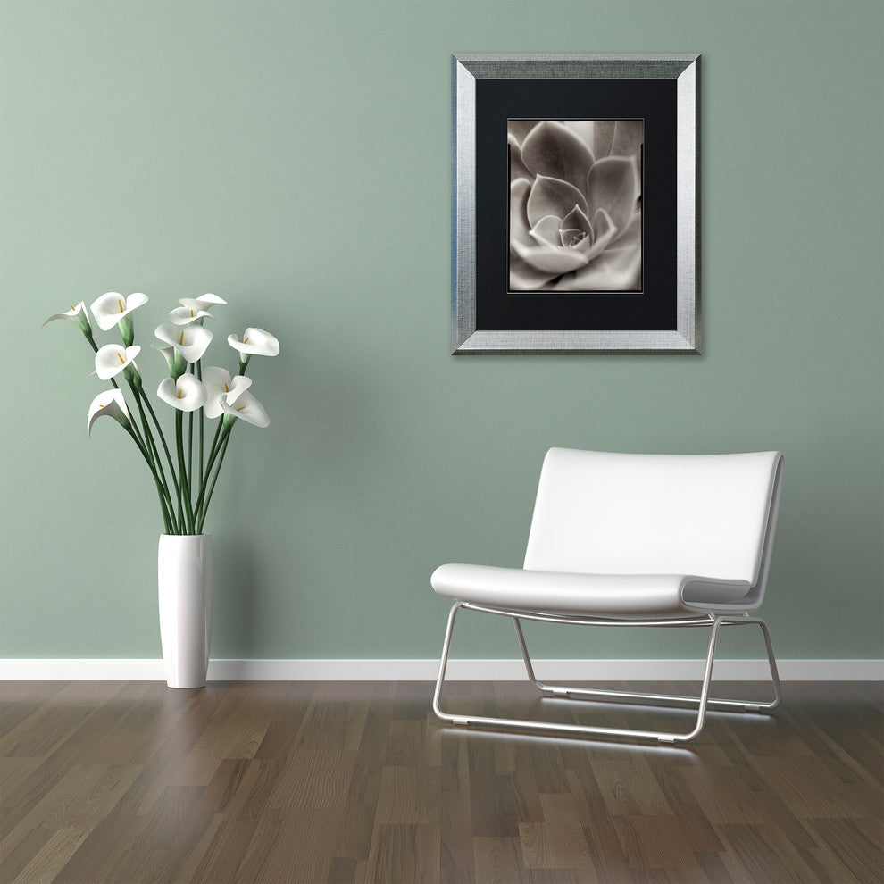 Alan Blaustein 'Florison 25' Art, Silver Frame, Black Mat, 11x14