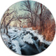 Ukraine Winter Forest, Landscape Photo Round Wall Art, 11"