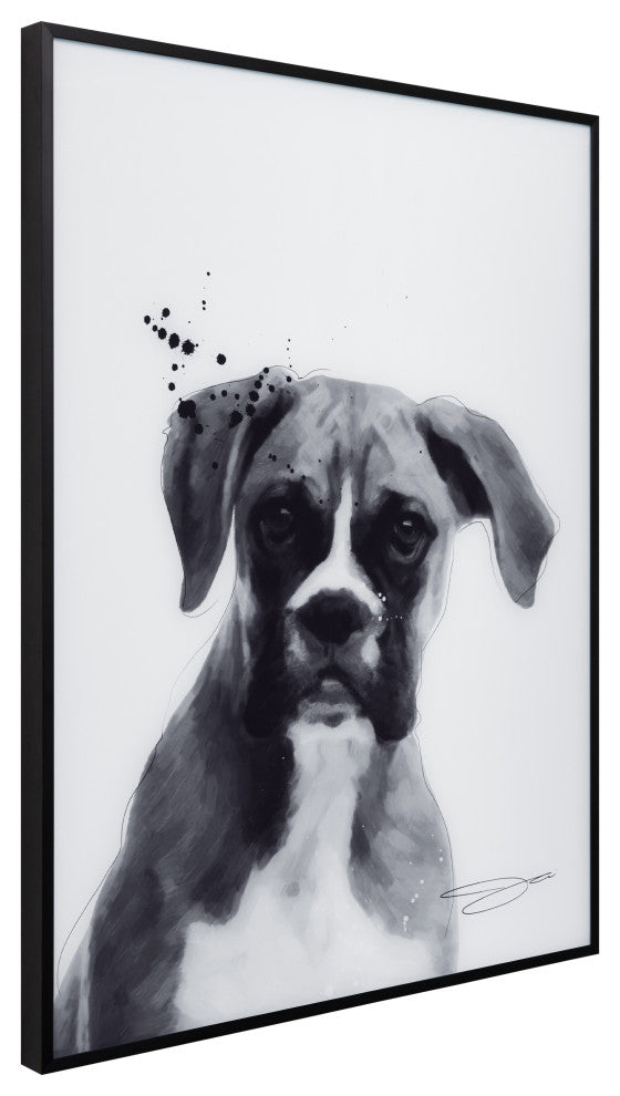 "Boxer" Black and White Pet Art on Printed Glass Encased with Anodized Frame