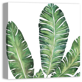 Banana Leaves 20x20 Canvas Wall Art
