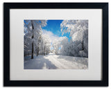 Philippe Sainte-Laudy 'Going Nowhere' Matted Framed Art, 16x20