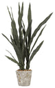 35" Dark Green Mother in Law's Tongue in Cement Oak Planter