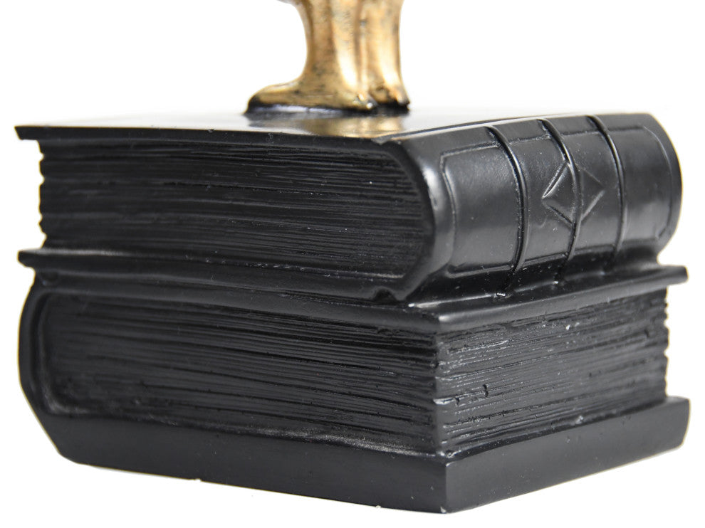 Gold Bird on Book Bookend Pair, Black