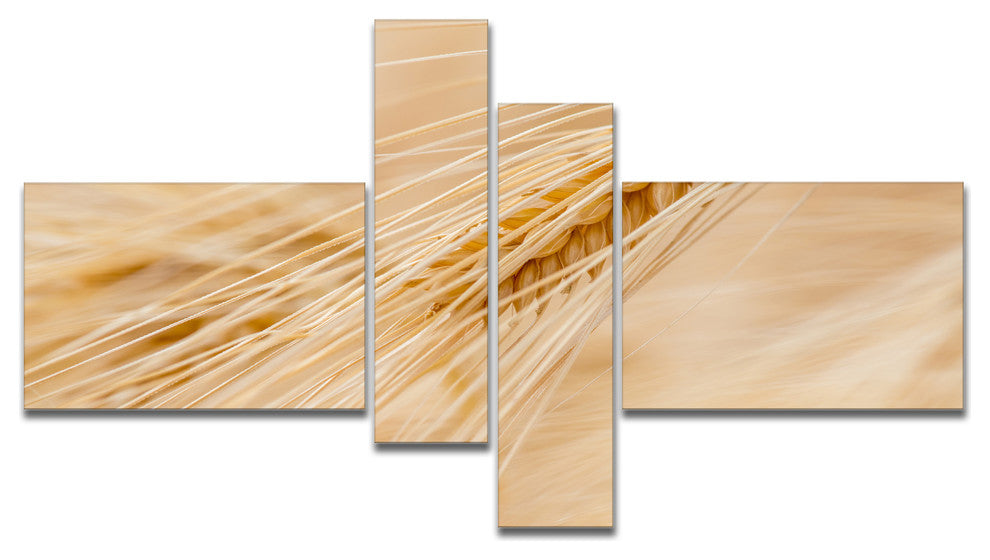 Cereal Plants Barley, Floral Canvas Art Print, 60"x32", 4 panels