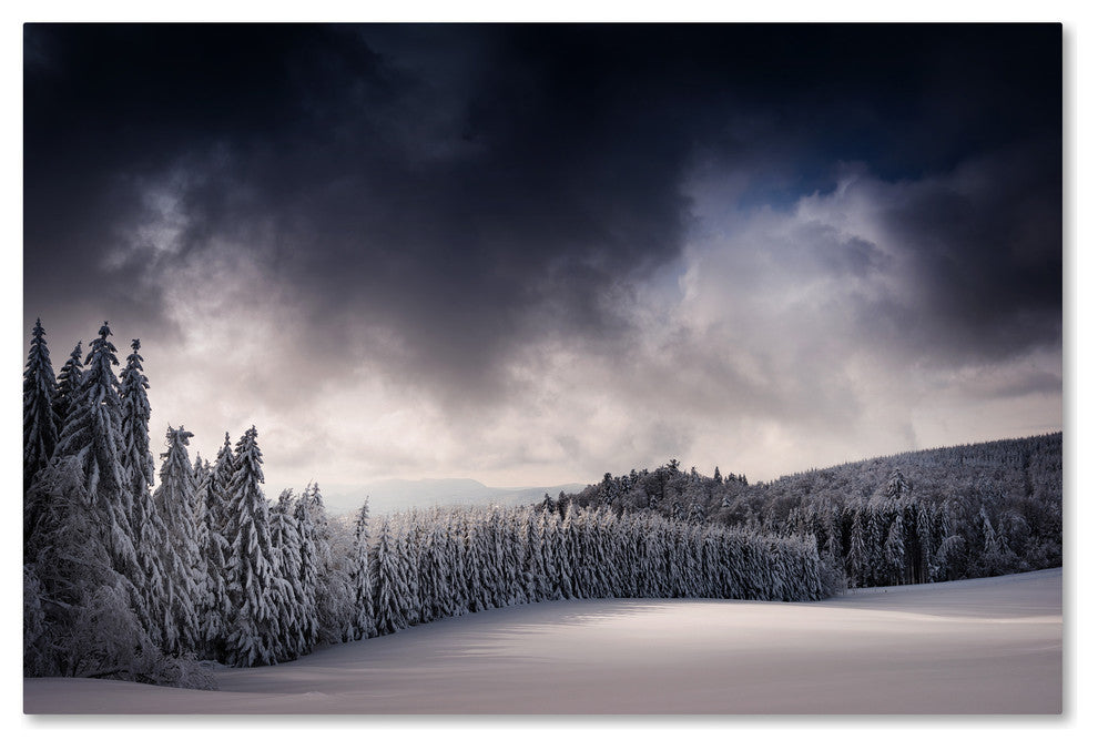 Philippe Sainte-Laudy ''Blowin'' In The Wind'' Canvas Art, 16x24