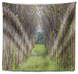 Pathway Through Fall Green Trees Landscape Photography Wall Tapestry, 60"x50"