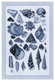 "Shells: Trachelipoda #3 (Blue)" Digital Paper Print by G.B. Sowerby, 34"x50"