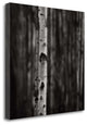 "Equilibrium" By Jamie Cook, Giclee Print on Gallery Wrap Canvas, Ready to Hang