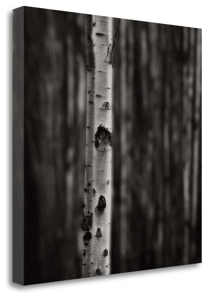 "Equilibrium" By Jamie Cook, Giclee Print on Gallery Wrap Canvas, Ready to Hang