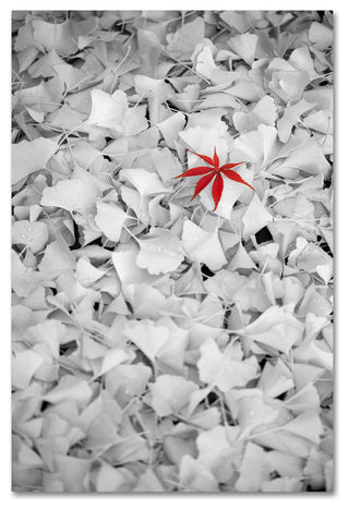 'Rebel Leaf' Canvas Art by Philippe Sainte-Laudy