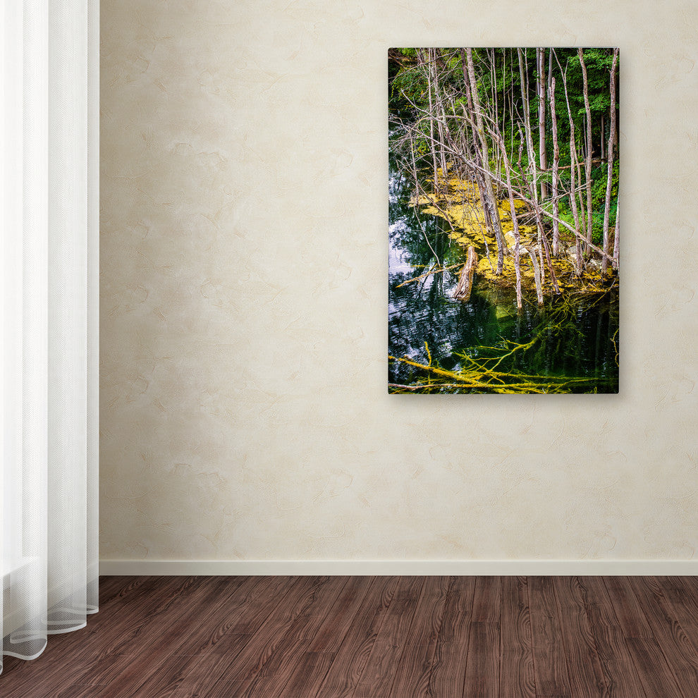 Jason Shaffer 'Quarries' Canvas Art, 12x19