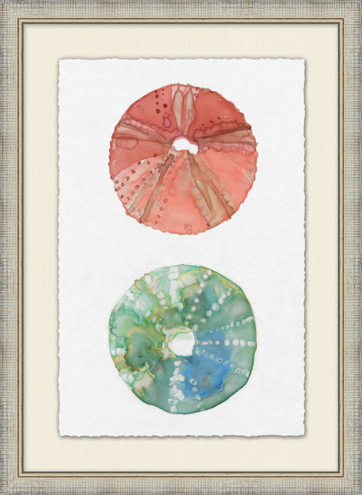 Tropical Urchin 1, Giclee Reproduction Artwork
