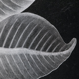 Uttermost Foliage Framed Prints, Set of 6