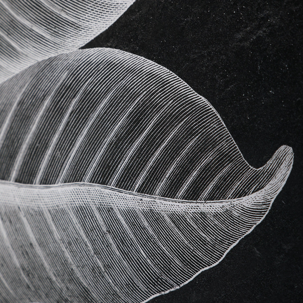 Uttermost Foliage Framed Prints, Set of 6