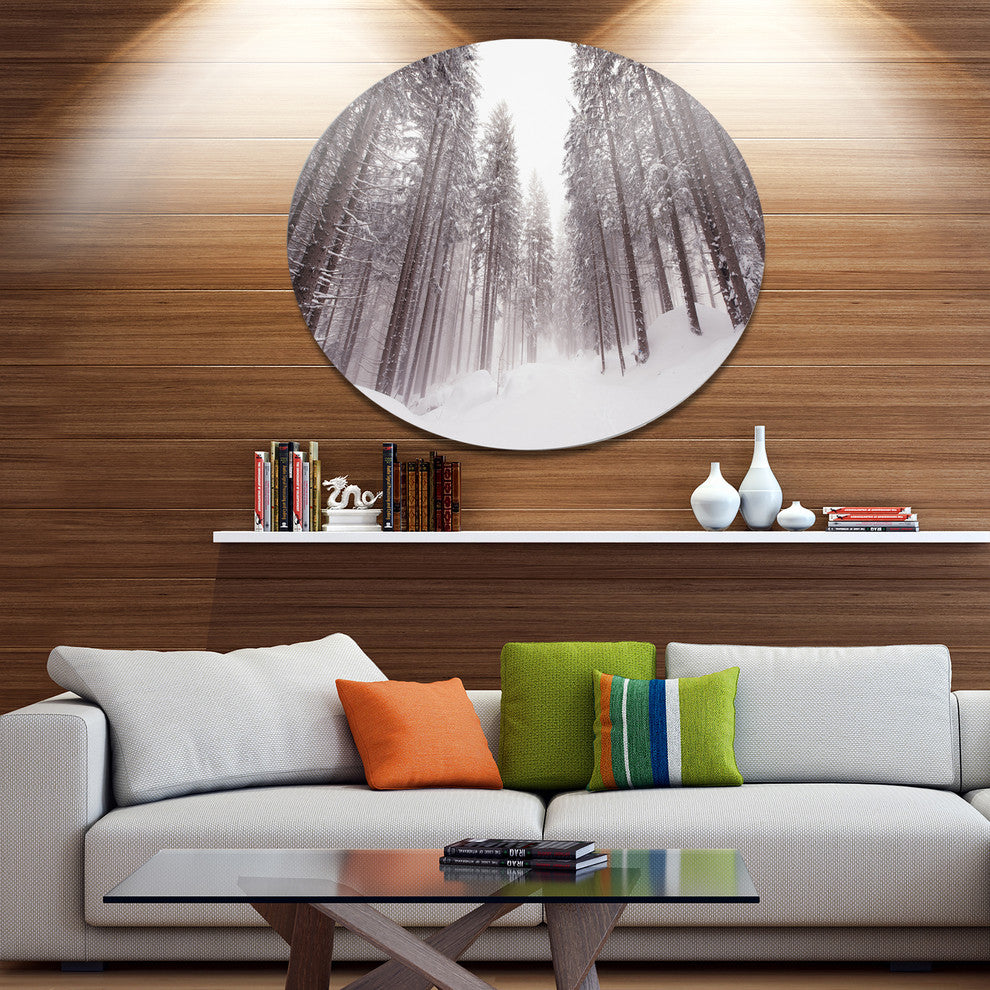 Winter Scenery In Trentino Alto Adige, Forest Disc Metal Wall Art, 38"
