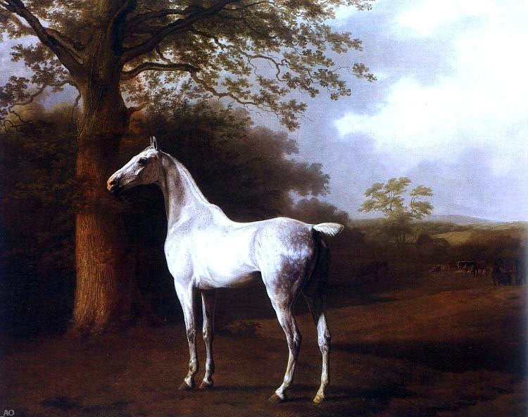 Jacques-Laurent Agasse White Horse in Pasture, 20"x25" Wall Decal