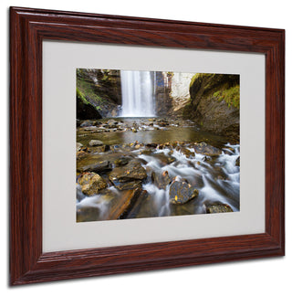 'Looking Glass Falls' Matted Framed Canvas Art by Pierre Leclerc