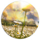 Blooming Chamomiles Flowers, Landscape Disc Metal Wall Art, 11"
