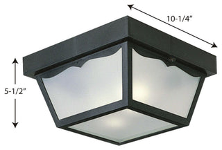 2-Light 10-1/4-in Flush Mount Indoor/Outdoor Light, Black