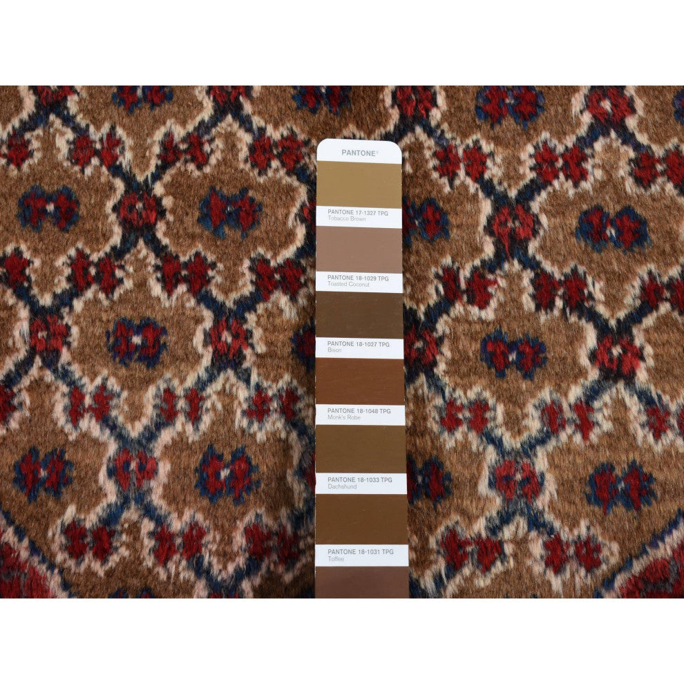 Saddle Brown New Persian Serab Pure Wool Hand Knotted Runner Rug 5' x 9'6"