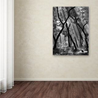 Yvette Depaepe 'Enchanted Forest ' Canvas Art, 19x14