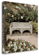 "Campagna - 1 Color" By Alan Blaustein, Giclee Print on Gallery Wrap Canvas