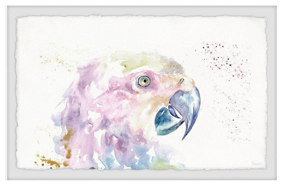"Parrot Colors" Framed Painting Print, 12"x8"