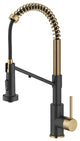 Bolden Commercial Style 2-Function Pull-Down 1-Handle 1-Hole Kitchen Faucet, Brushed Brass/ Matte Black (Filter Kitchen Faucet)