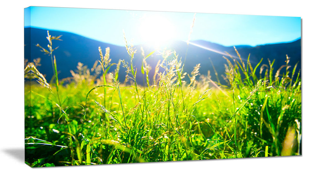Beautiful Green Nature Wonder, Landscape Canvas Art Print, 60"x28"