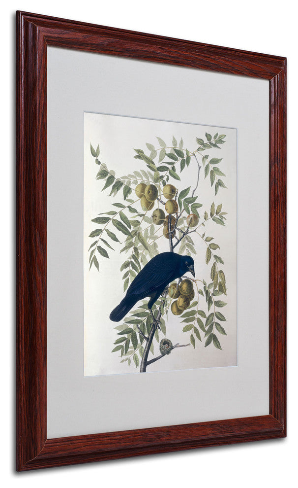 'American Crow' Matted Framed Canvas Art by John James Audubon
