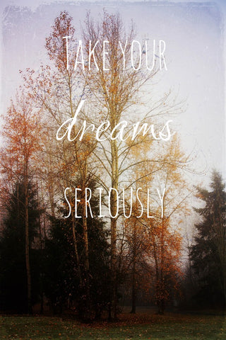 "Take Your Dreams Seriously" Print on Canvas by Sylvia Cook