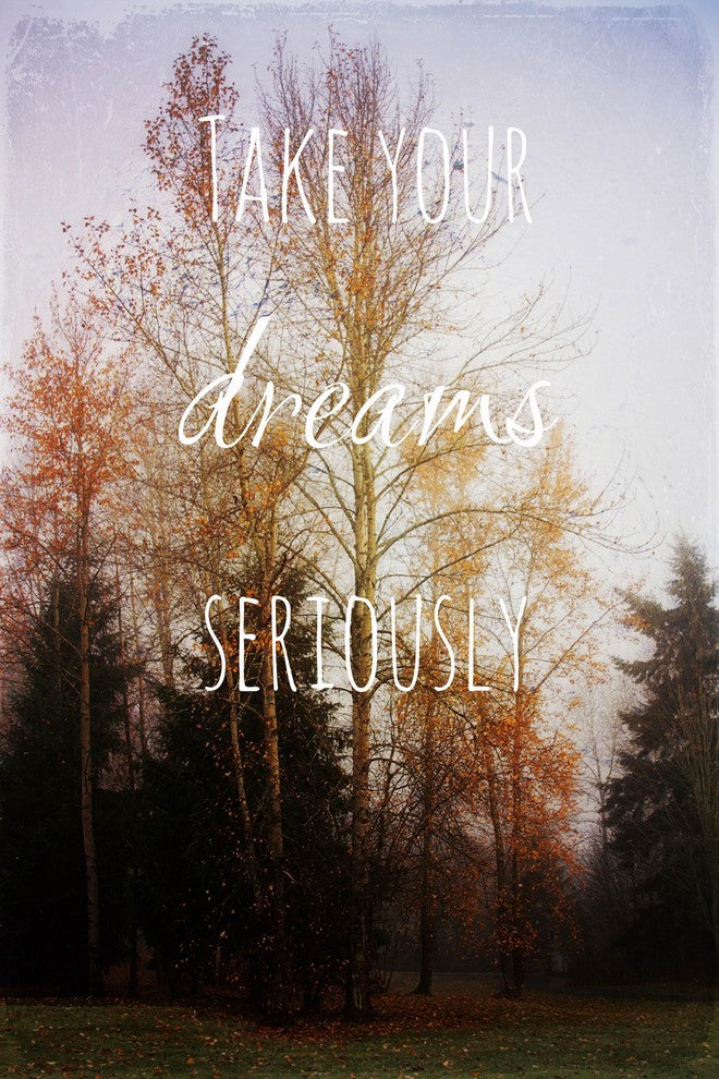 "Take Your Dreams Seriously" Print on Canvas by Sylvia Cook