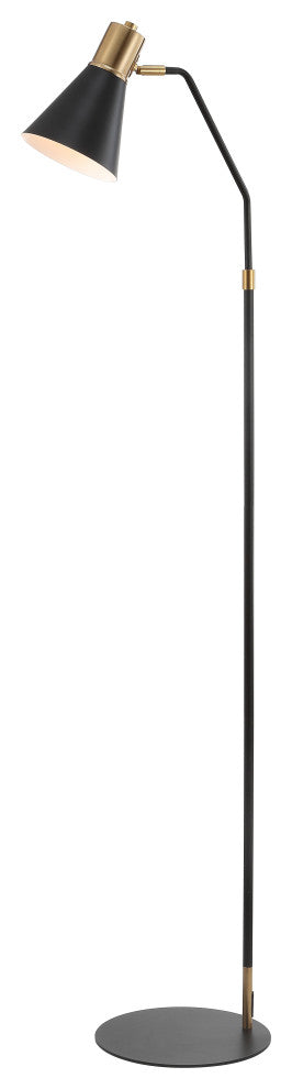 Apollo Modern Metal LED Task Floor Lamp