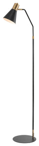 Apollo Modern Metal LED Task Floor Lamp