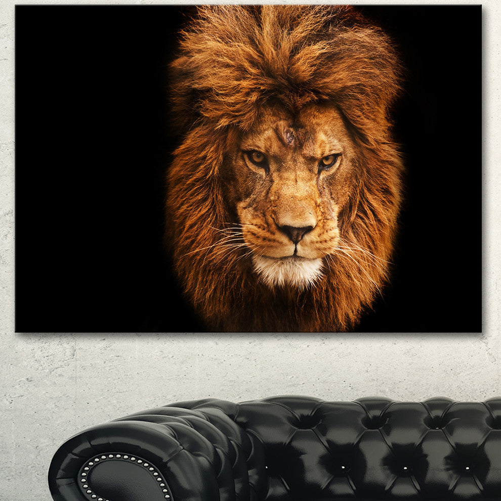 Face of Male Lion on Black, Abstract Canvas Art Print, 40"x30"