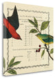 "Summer Pages I" By Sue Schlabach, Giclee Print on Gallery Wrap Canvas