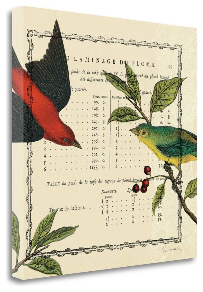 "Summer Pages I" By Sue Schlabach, Giclee Print on Gallery Wrap Canvas