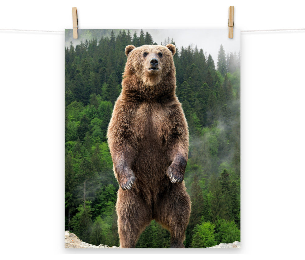 Big Standing Brown Bear On Mountain Top Loose Wall Art Print, 16" X 20"