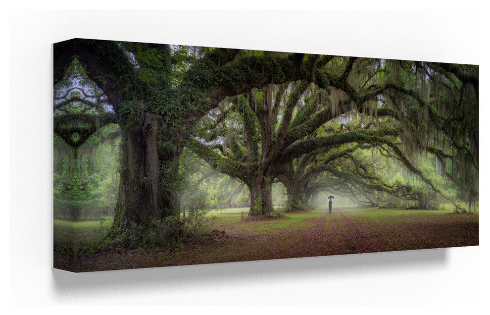 "Walking On The Trees Avenue" by Moises Levy, Canvas Art