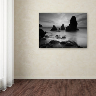 'Rodeo Beach I Black and White' Canvas Art by Moises Levy