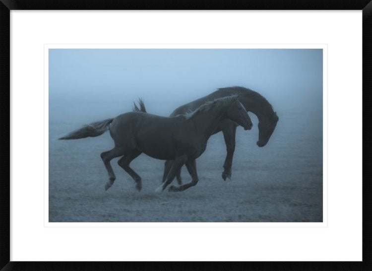 "Horses In The Fog" Framed Digital Print by Allan Wallberg, 30x21"