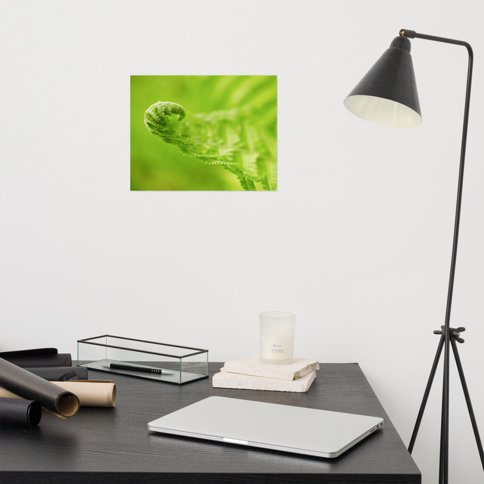 Fern Curl Nature Photography, Botanical Unframed Wall Art Print, 11" X 14"