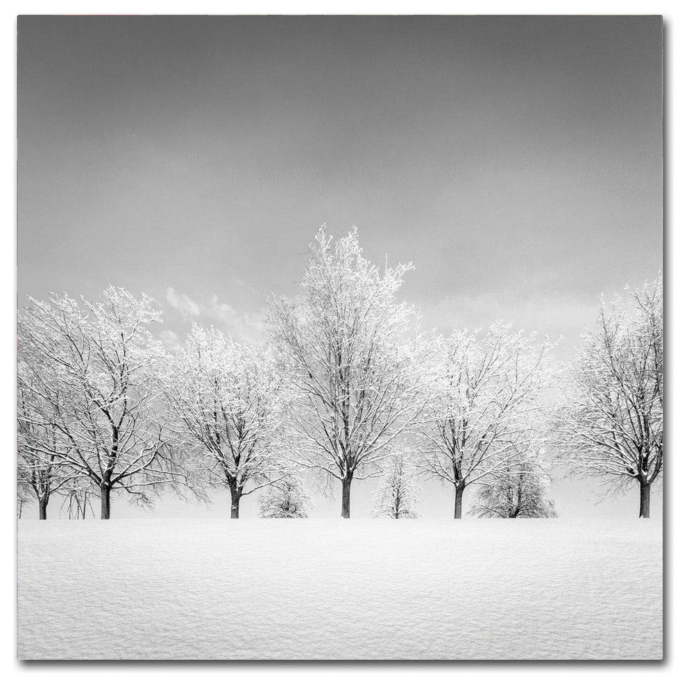 'Ice Storm' Canvas Art by Dave MacVicar