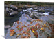 "Little Pigeon River, Great Smoky Mountains National Park, Tennessee" Artwork