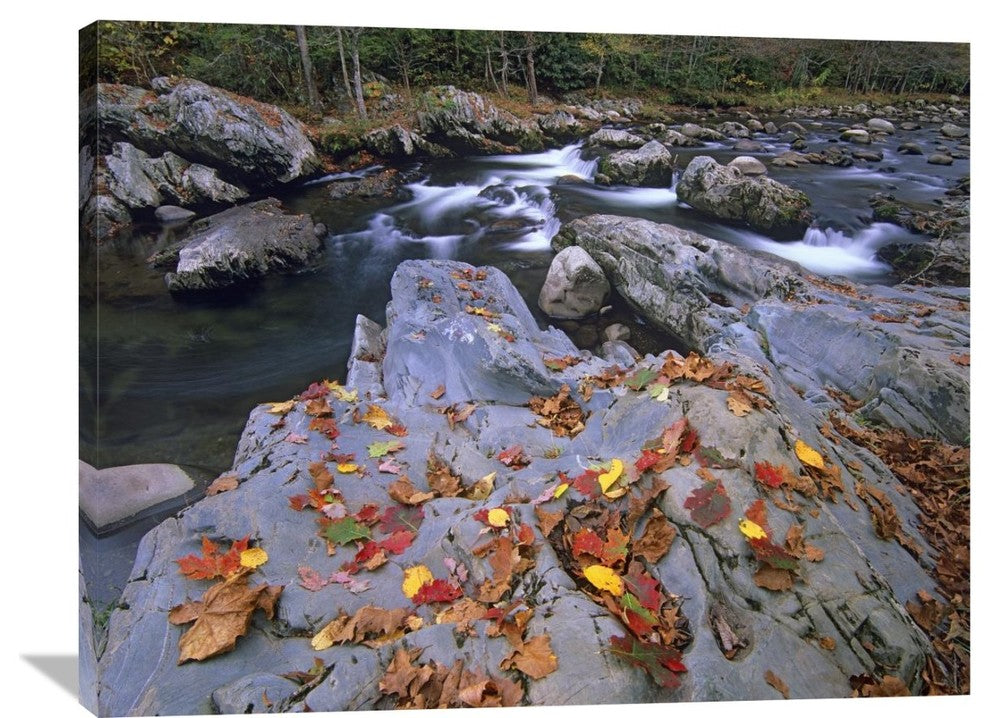 "Little Pigeon River, Great Smoky Mountains National Park, Tennessee" Artwork