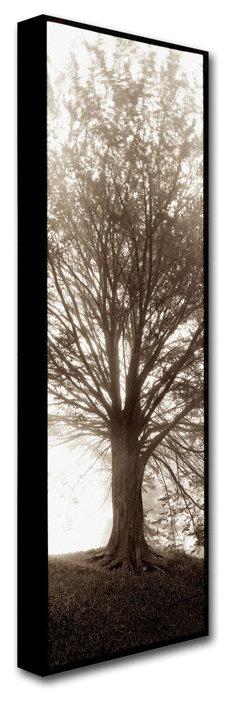 Alan Blaustein ''Hampton Gates Tree No. 1'' Canvas Art, 8x24