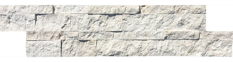 FOSSIL Limestone 6x24 Ledger Panel, Set of 32